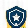 Icon representing expert instructors